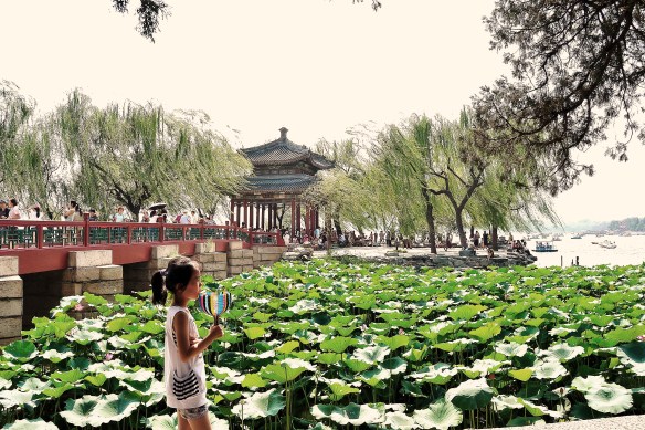 La bambina, i fiori di loto e l'oblio