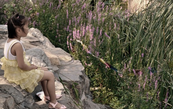 La bambina, lo scoglio e l'oblio