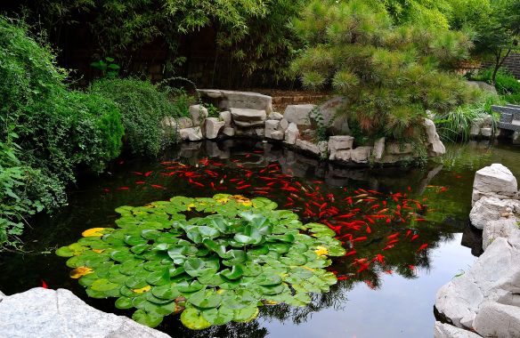 Uno specchio o un laghetto