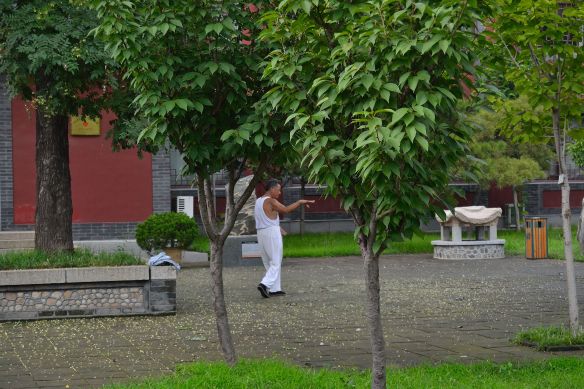 Un uomo lento tra gli alberi